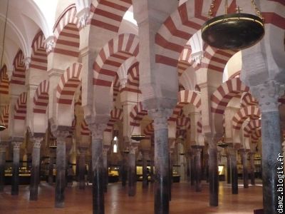 On peut compter 19 nefs dans cette Cathédrale-mosquée!
