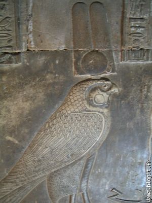 Dans les catacombes, une fresque de Horus